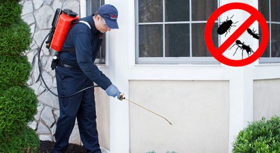 İmranlı Hamam Böceği İlaçlama böcek ilaçlama ve haşere kontrolü — ilaclama-tr.com